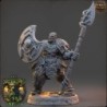 Sover Ilthwyn - The Walkers of Ferro Forest