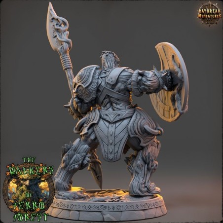 Sover Ilthwyn - The Walkers of Ferro Forest