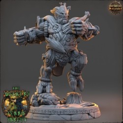 Zareth Thornveil - The Walkers of Ferro Forest