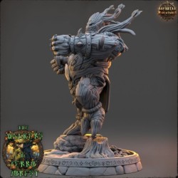 Zareth Thornveil - The Walkers of Ferro Forest 2