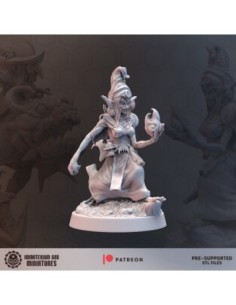 Don Quixote  themed warriors set (3 models) 2