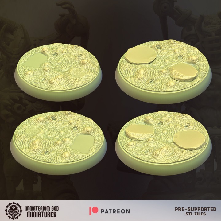 Afflicted guardians set (4 models)