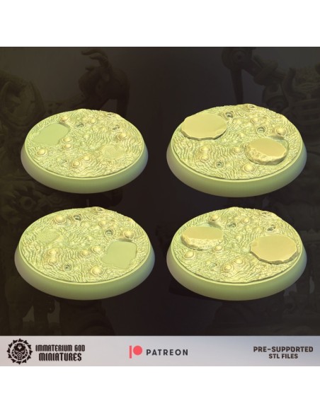 Afflicted guardians set (4 models)