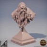 Petri - BUST
