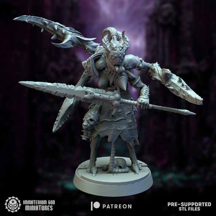 Torture fanatics set (5 models)