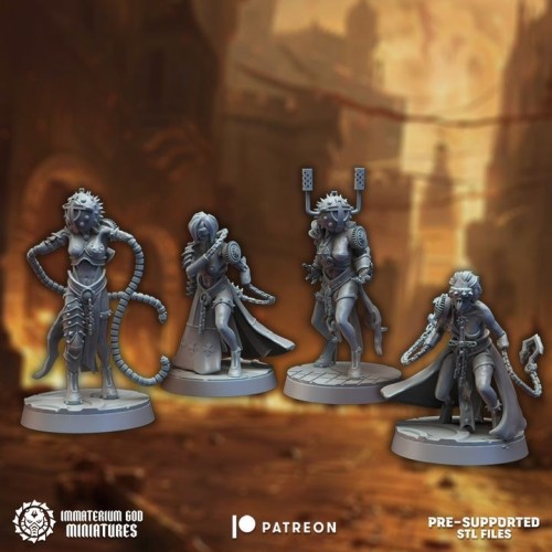 Blinded zealots Set (4 models)