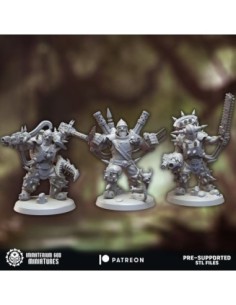 Viking destroyers