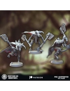 Pagan Marauders