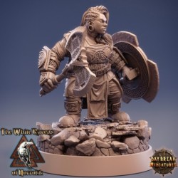 Fandra Firebrand 2