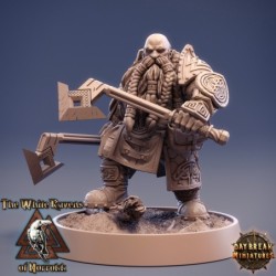 The White Ravens of Norrokk - COMPLETE PACK 2