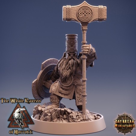 The White Ravens of Norrokk - COMPLETE PACK