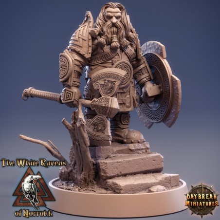 The White Ravens of Norrokk - COMPLETE PACK