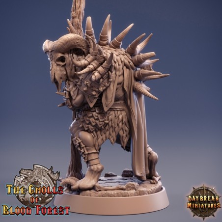 Eeker Grimflesh - The Gnolls of Blood Forest
