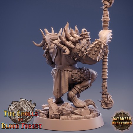 Jannik Hellhound - The Gnolls of Blood Forest