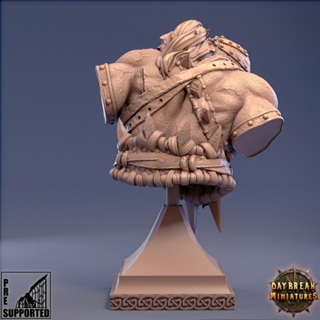 Jugger Hochmann - BUST - Mercenaries of the Void