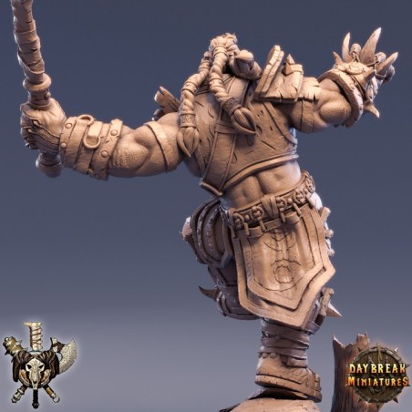 Helgor Haim - The Powerbrokers of the Void
