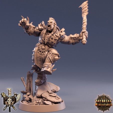 Helgor Haim - The Powerbrokers of the Void