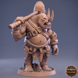Ogre 2 - Creature Pack 01 2