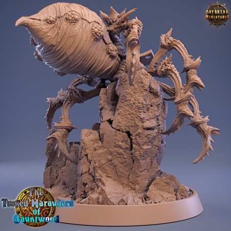 Havor Split on Black Webber - The Tusked Marauders of Gauntwood